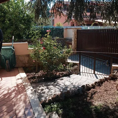 Bed and breakfast Romana