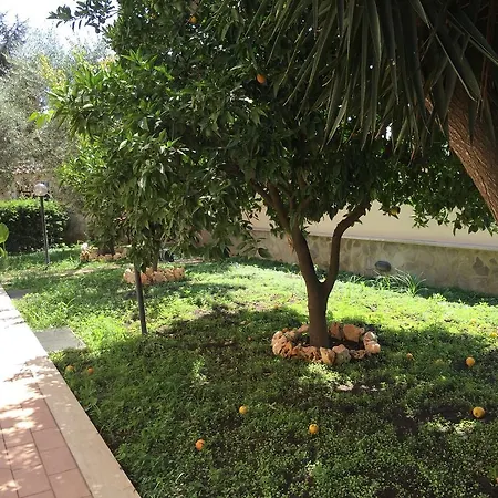 Oda ve Kahvaltı Romana Ciampino